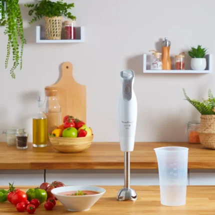 Mixeur Plongeant DailyChef 600W